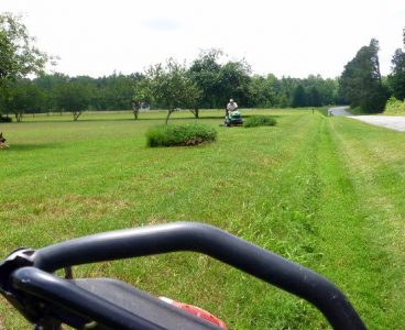 Slow Down You're Mowing Too Fast Image